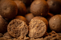 Activator Fish Activator Fish